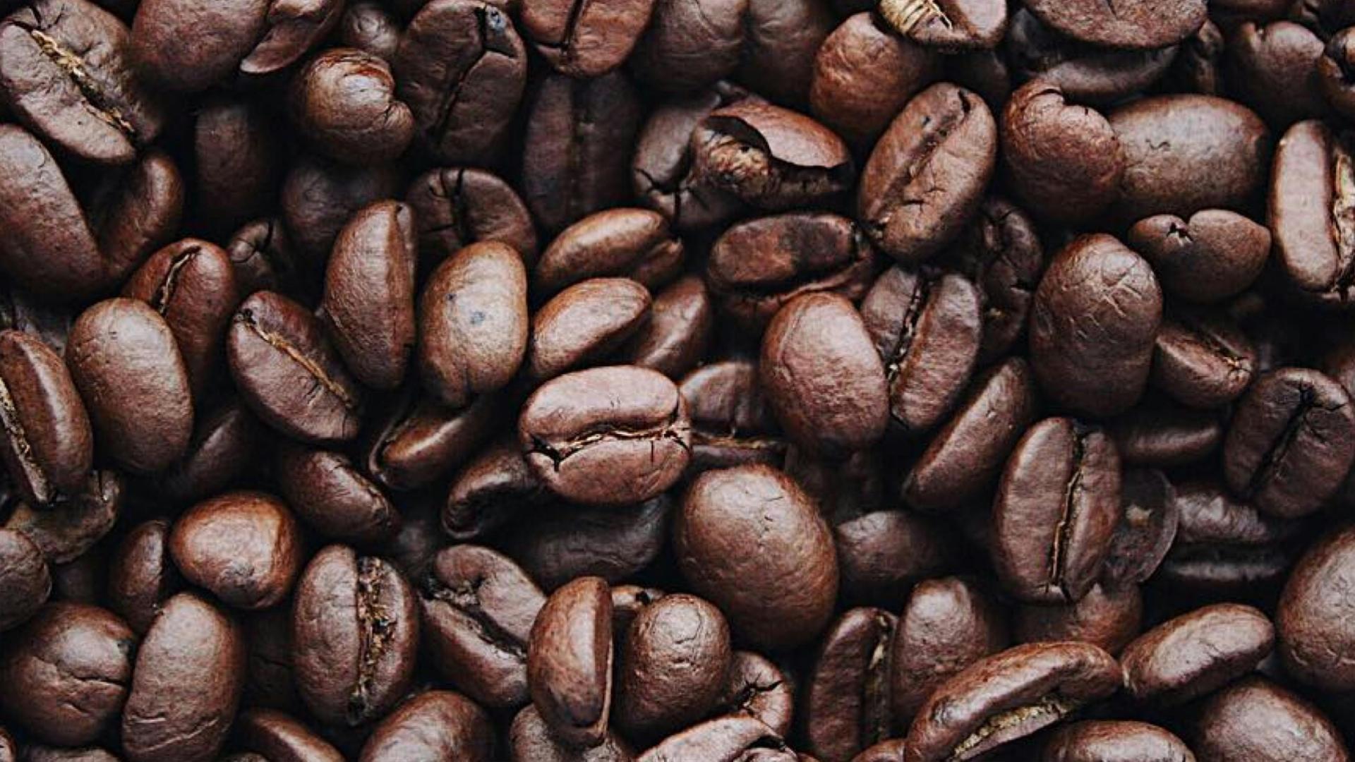 Ontvangst & Koffie 