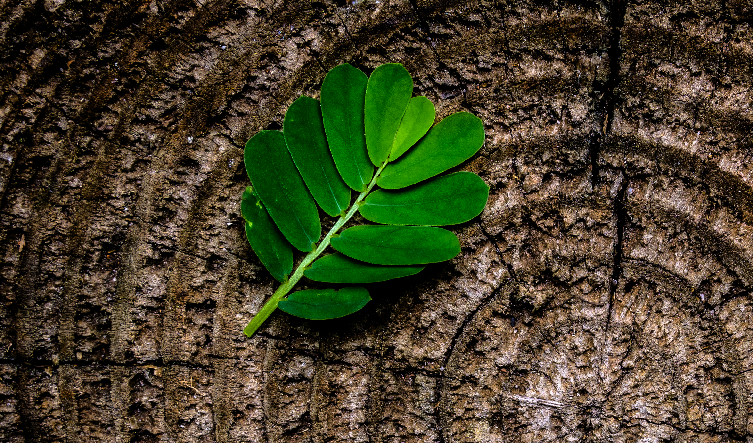 GRIP op je Structuur